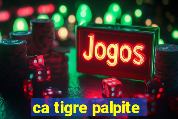 ca tigre palpite